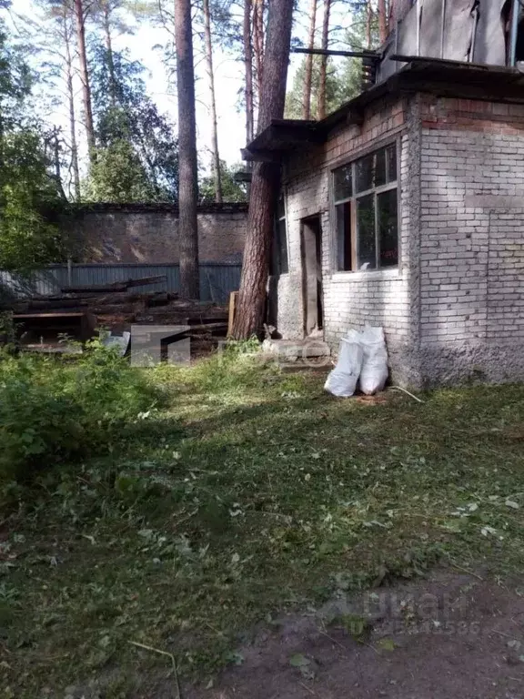 Участок в Новосибирская область, Новосибирский район, Мочищенский ... - Фото 1