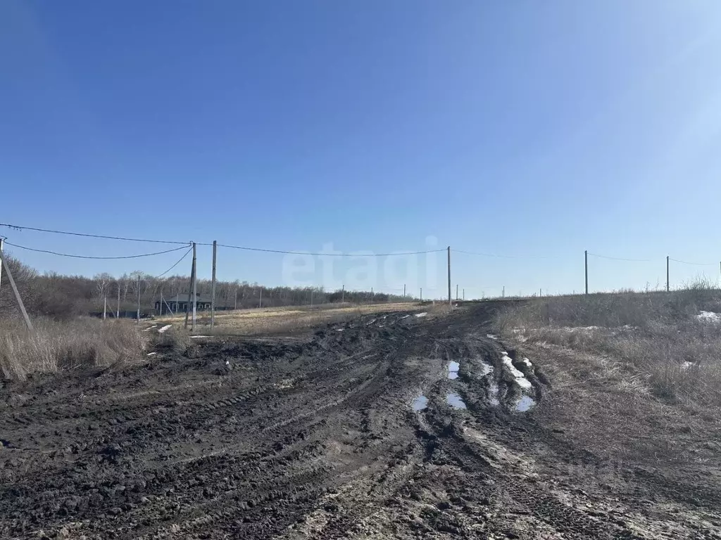 Участок в Белгородская область, Белгородский район, Дубовское с/пос, ... - Фото 2