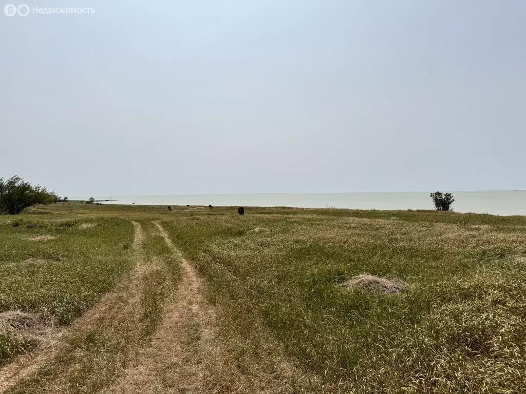 Участок в Носовское сельское поселение, хутор Калиновка, Набережная ... - Фото 0