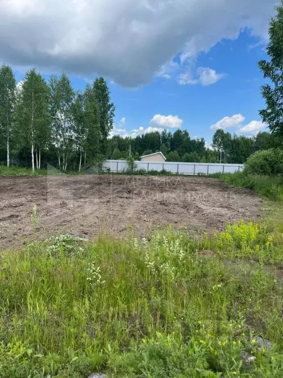 Участок в Тюменская область, Нижнетавдинский муниципальный округ, ... - Фото 1