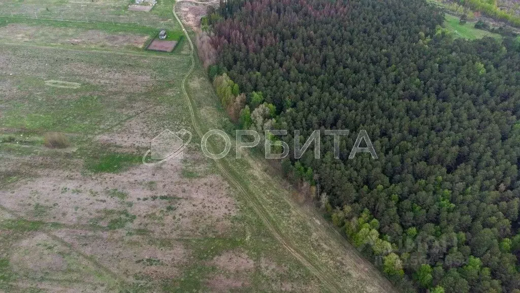 Участок в Тюменская область, Тюменский район, с. Салаирка  (8.0 сот.) - Фото 1