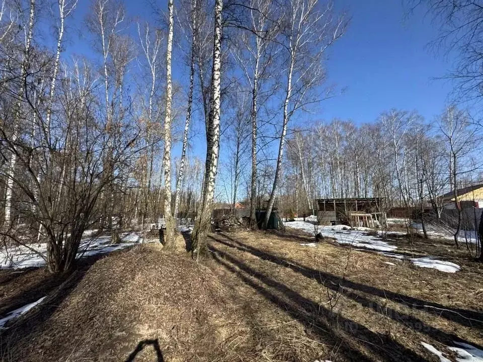 Участок в Тульская область, Заокский район, Страховское с/пос, ... - Фото 1
