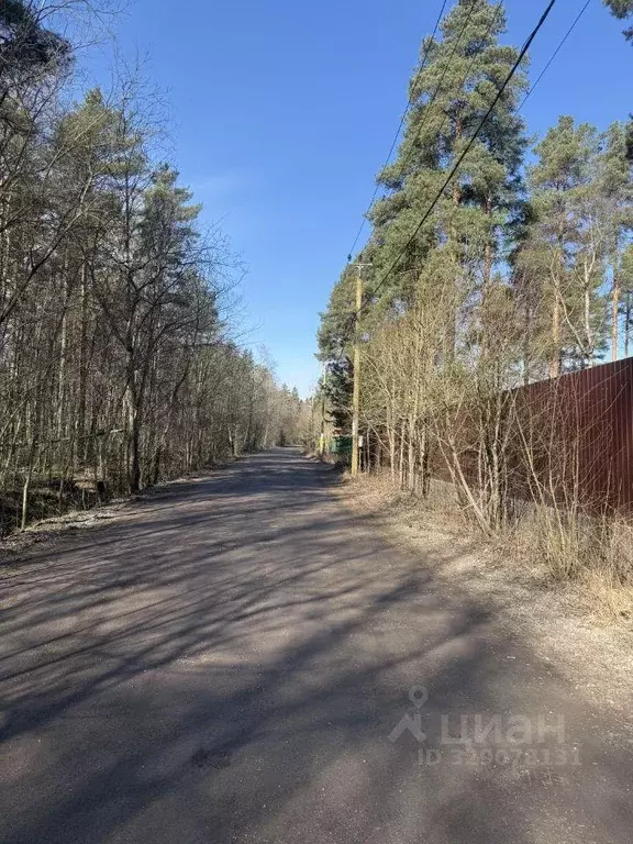 Участок, 6 сот., сельхоз (снт или днп) - Фото 2