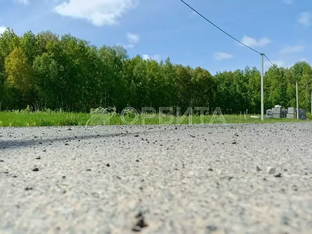 Участок в Тюменская область, Тюменский муниципальный округ, с. Кулига, ... - Фото 2