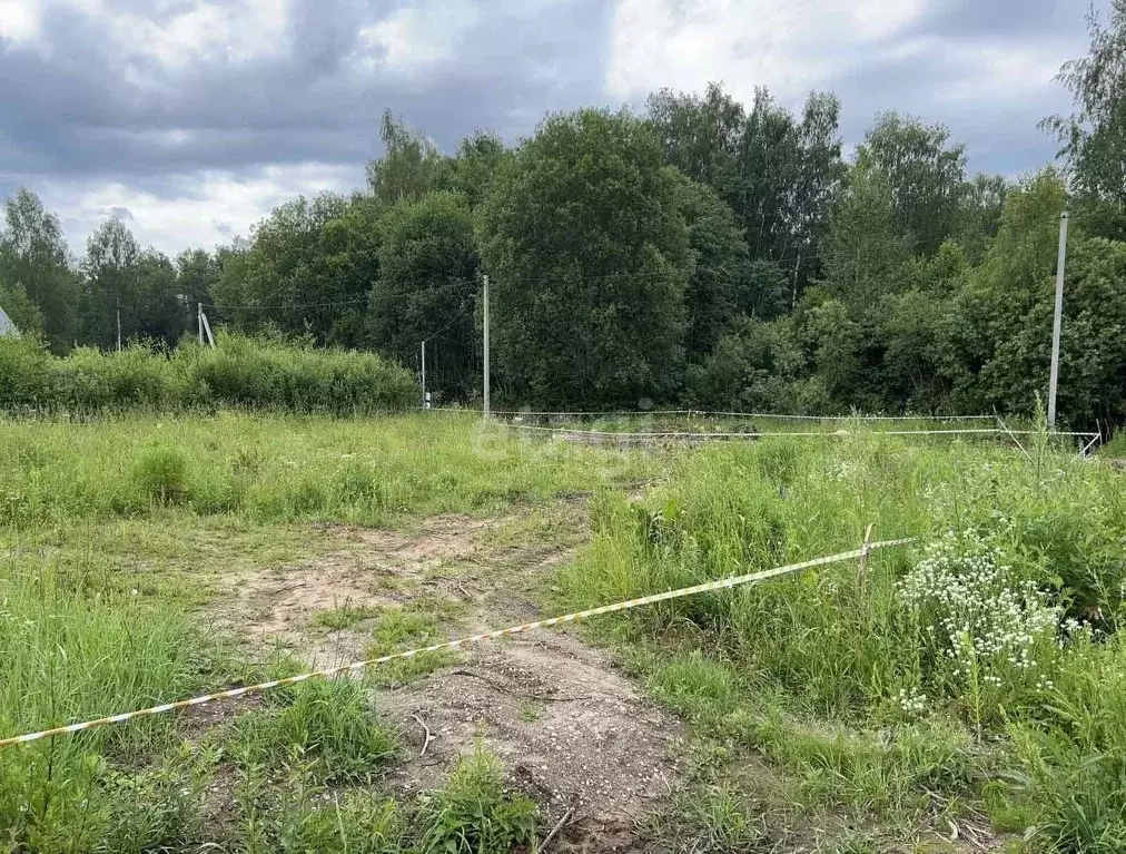 Участок в Костромская область, Красносельский район, Боровиковское ... - Фото 1