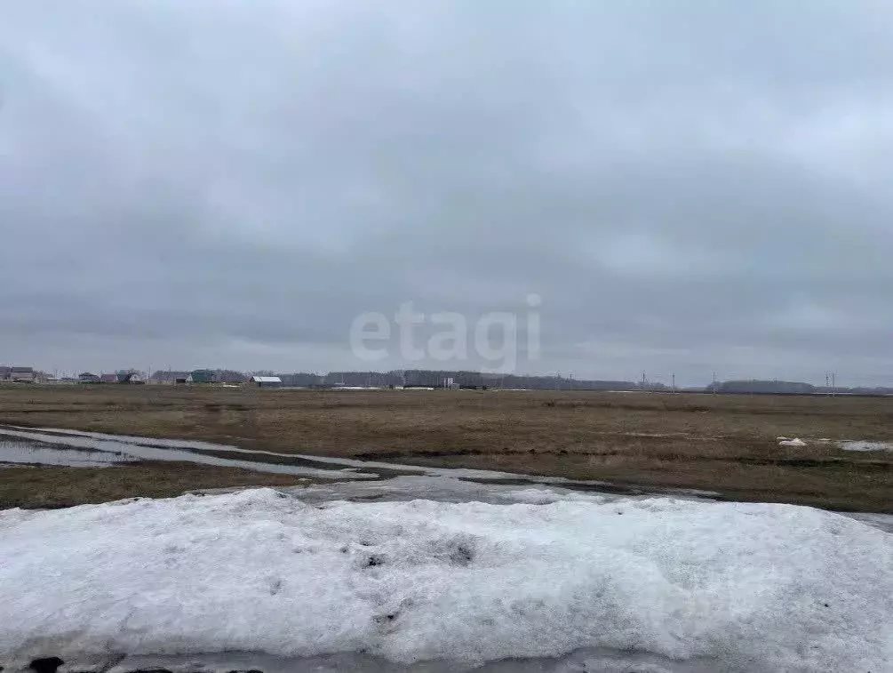 Участок в Омская область, Омский район муниципальный округ, с. ... - Фото 2