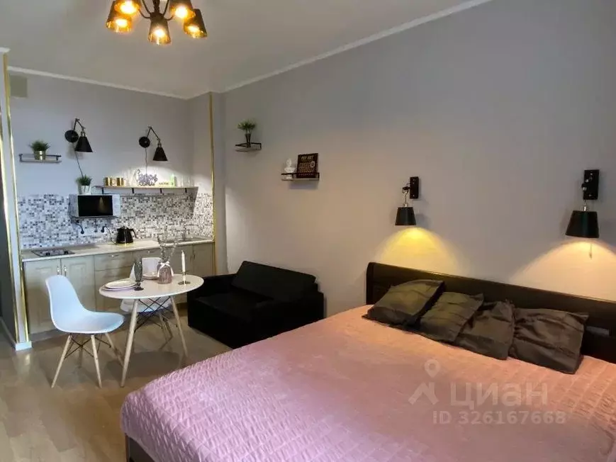 Студия Санкт-Петербург ул. Адмирала Черокова, 18к1 (27.0 м) - Фото 2