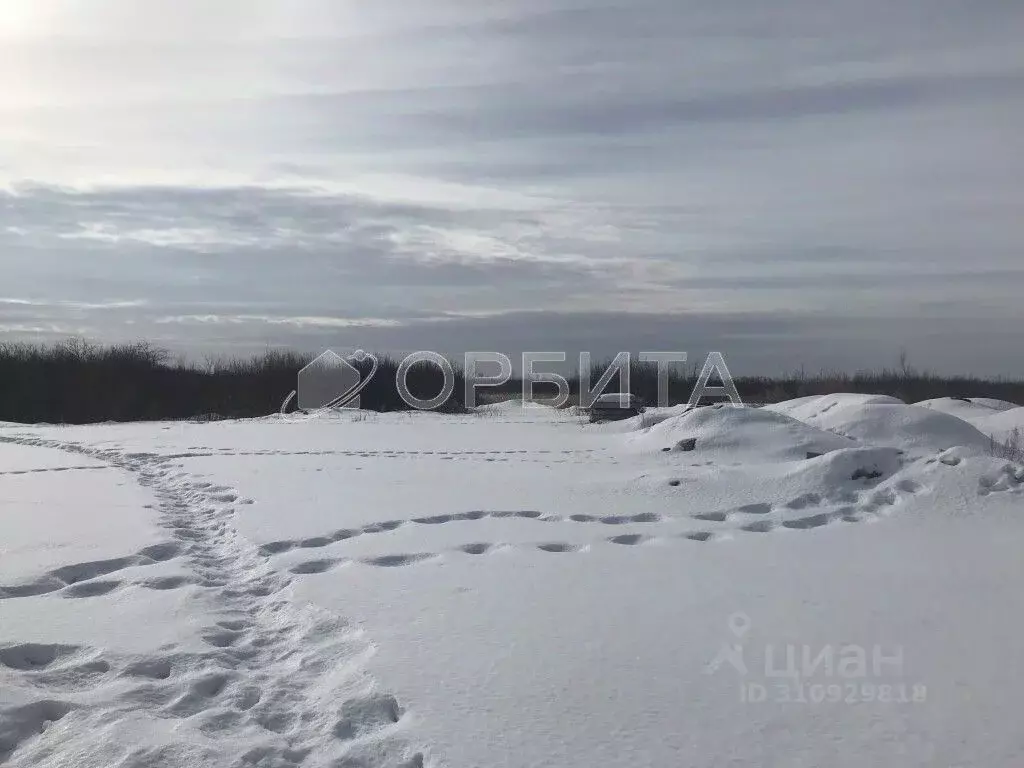 Участок в Тюменская область, Тюмень Ягодное СНТ, ул. Ягодная, 263 ... - Фото 1