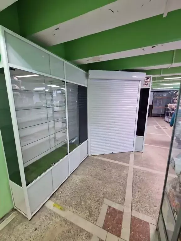 Торговая площадь в Новосибирская область, Новосибирск Красный просп., ... - Фото 1