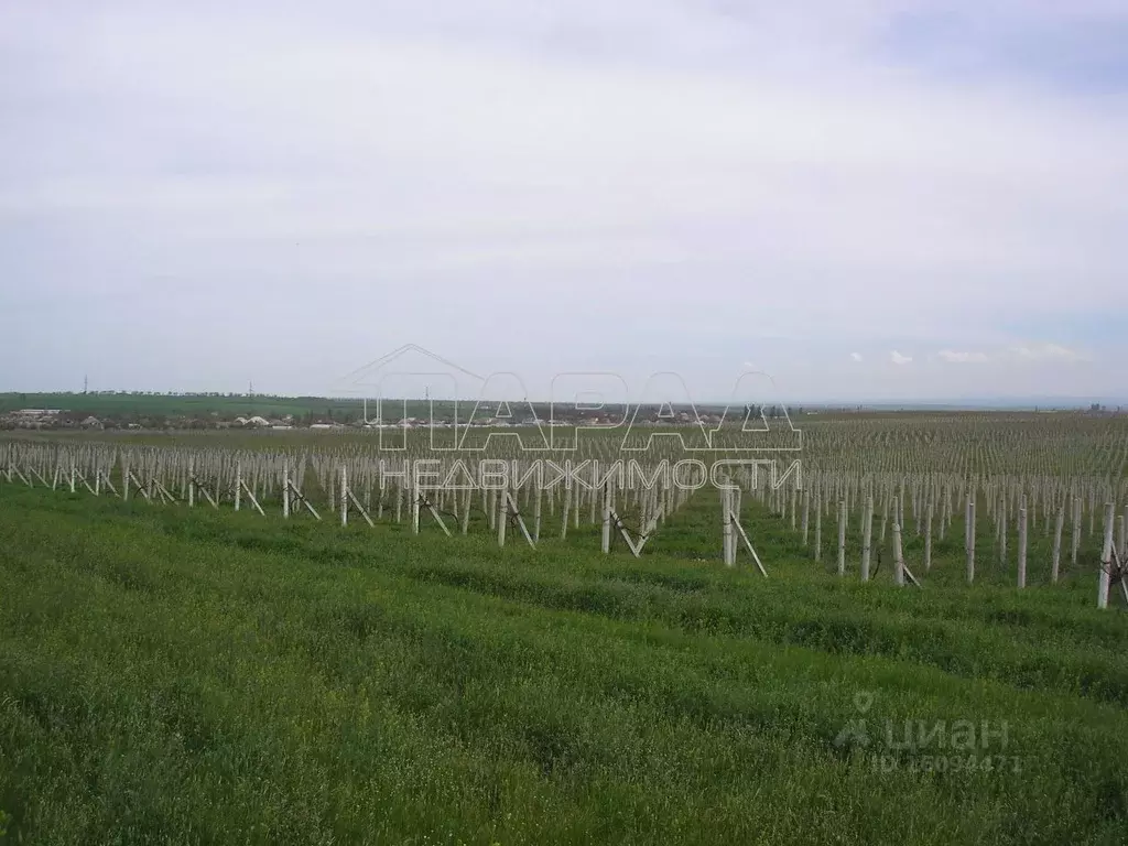 Купить Участок Первомайское Крым