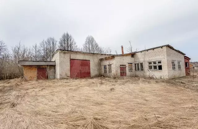 Свободного назначения, 220 м - Фото 0