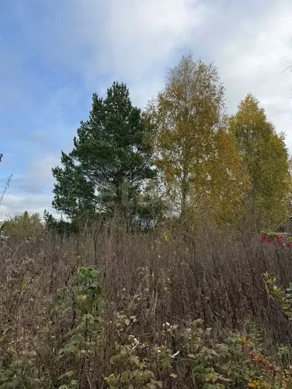 Участок в Курганская область, Кетовский муниципальный округ, с. Иковка ... - Фото 1