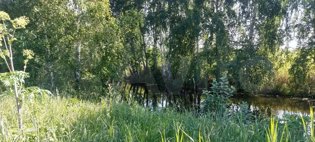 Участок 7,6 сот. (ИЖС) - Фото 0