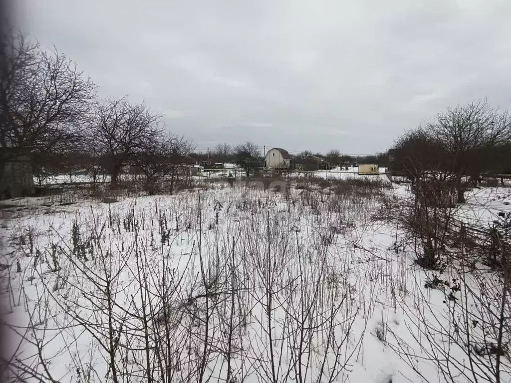 Участок в Белгородская область, Белгородский район, Головинское с/пос, ... - Фото 0
