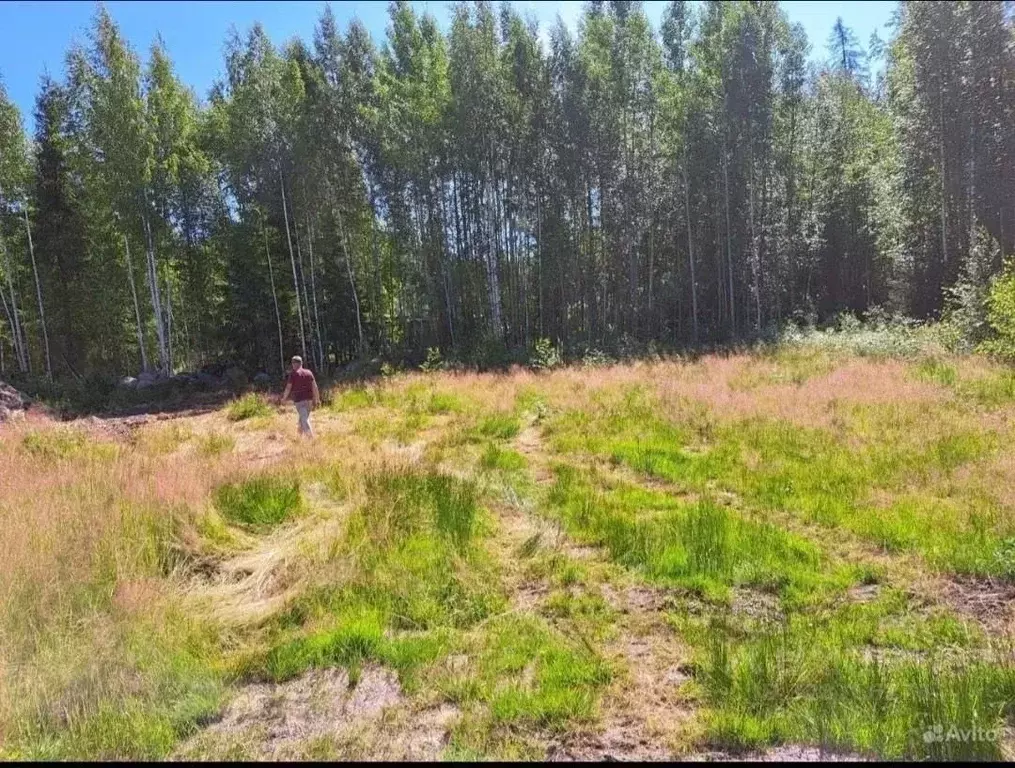 Участок в Ленинградская область, Выборгский район, Гончаровское с/пос, ... - Фото 1