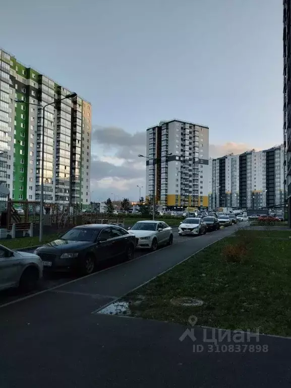 Студия Ленинградская область, Ломоносовский район, Виллозское ... - Фото 1