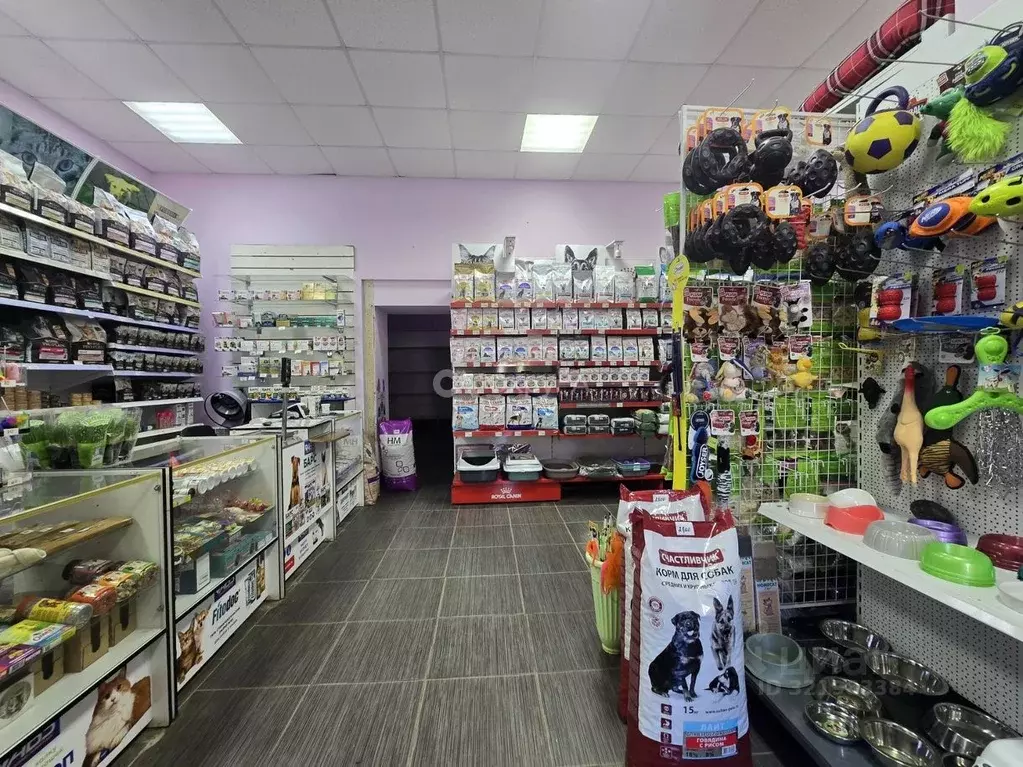 Помещение свободного назначения в Московская область, Электроугли ... - Фото 2