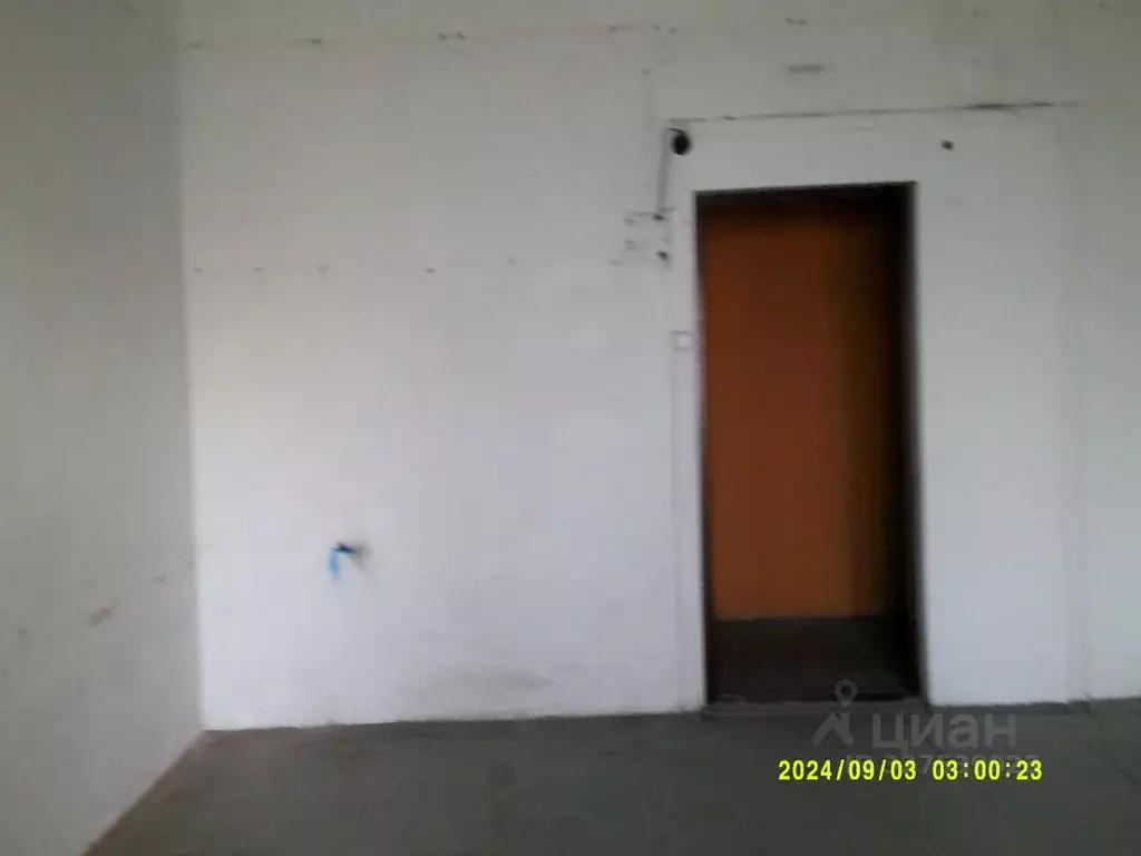 Помещение свободного назначения в Новосибирская область, Новосибирск ... - Фото 2