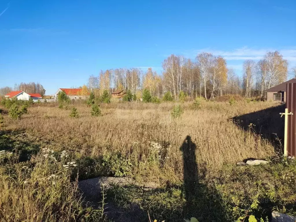 Участок в Тюменская область, Тюменский район, Новокаменский кп ул. ... - Фото 0