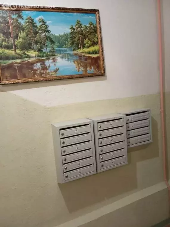 1-комнатная квартира: посёлок Мочалище, Заречная улица, 5 (33.3 м) - Фото 2