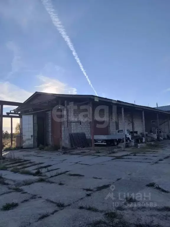 Помещение свободного назначения в Марий Эл, Медведевский район, ... - Фото 1