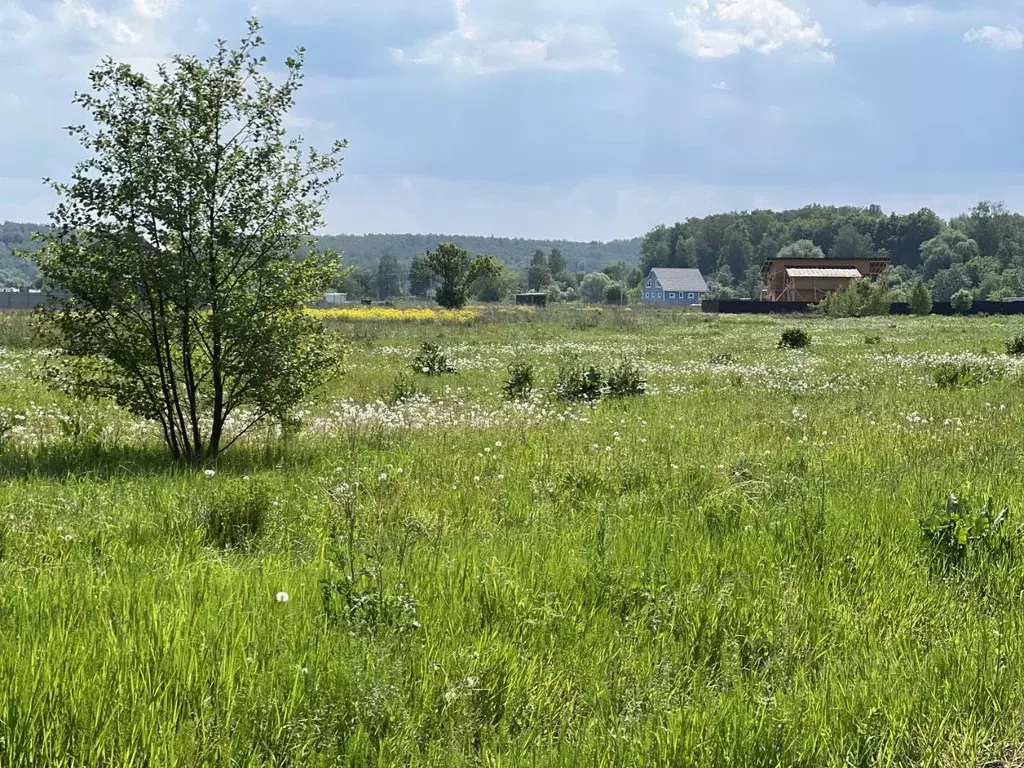 Участок в Московская область, Раменский городской округ, Пахра Ривер ... - Фото 0