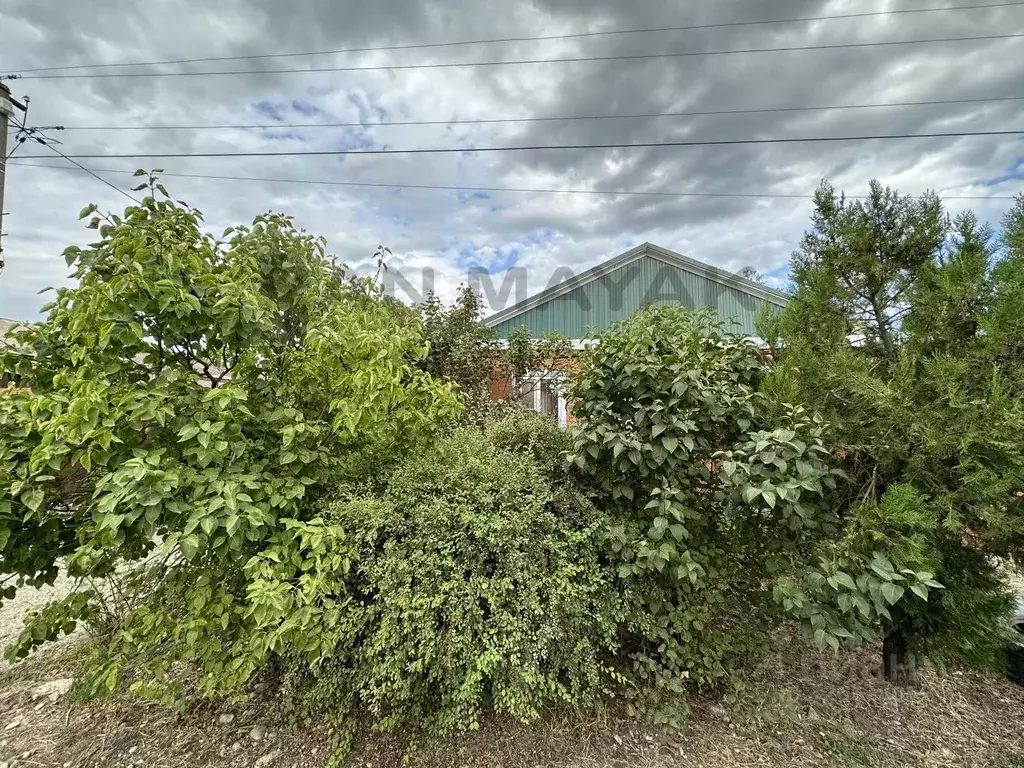 Дом в Адыгея, Майкоп городской округ, пос. Северный ул. Степная, 20 ... - Фото 2