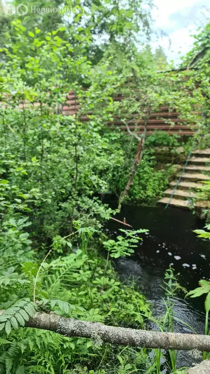 Участок в Сосновый Бор, коттеджный посёлок Надежда, Садовая улица (12 ... - Фото 2