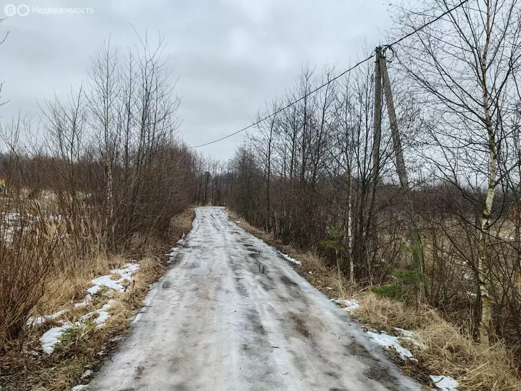 Участок в село Власово, ДНП Покровский, 3-я улица (16 м) - Фото 0