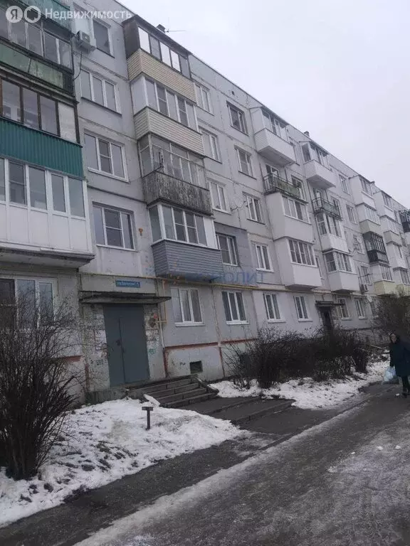 1-комнатная квартира: Нижний Новгород, Камчатский переулок, 1 (31 м) - Фото 2