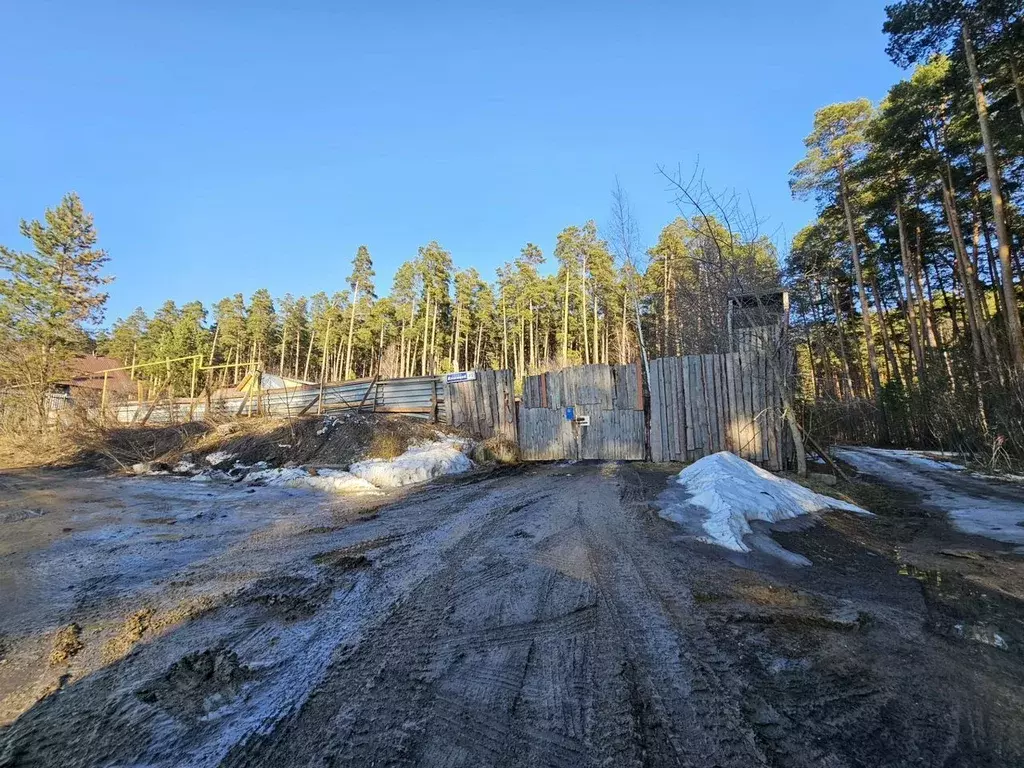 Участок в Свердловская область, Сысерть ул. Власовой, 45 (14.0 сот.) - Фото 2