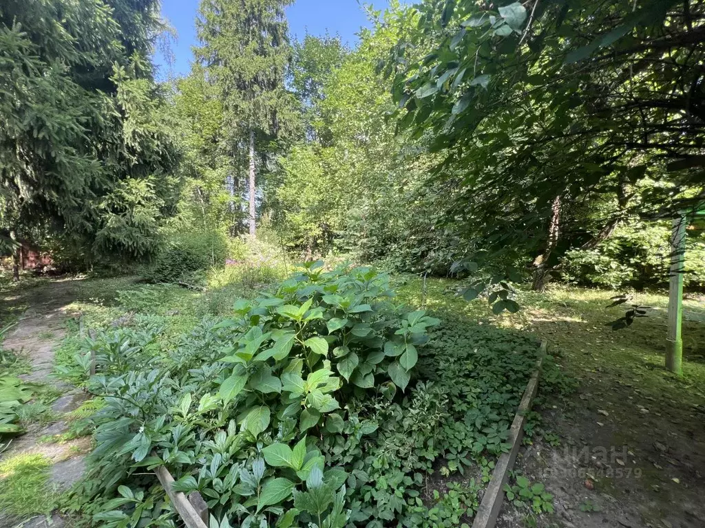 Дом в Московская область, Королев Болшево мкр, ул. Горького, 1 (120 м) - Фото 0