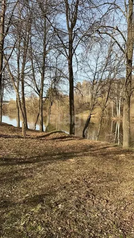 Дом в Пензенская область, Никольск Набережная ул. (45 м) - Фото 0