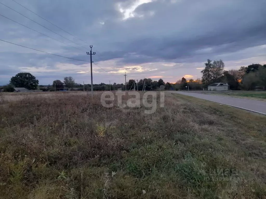 Участок в Белгородская область, Корочанский муниципальный округ, с. ... - Фото 1