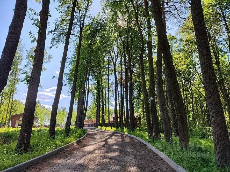 Участок в Московская область, Подольск городской округ, д. Бородино ... - Фото 2