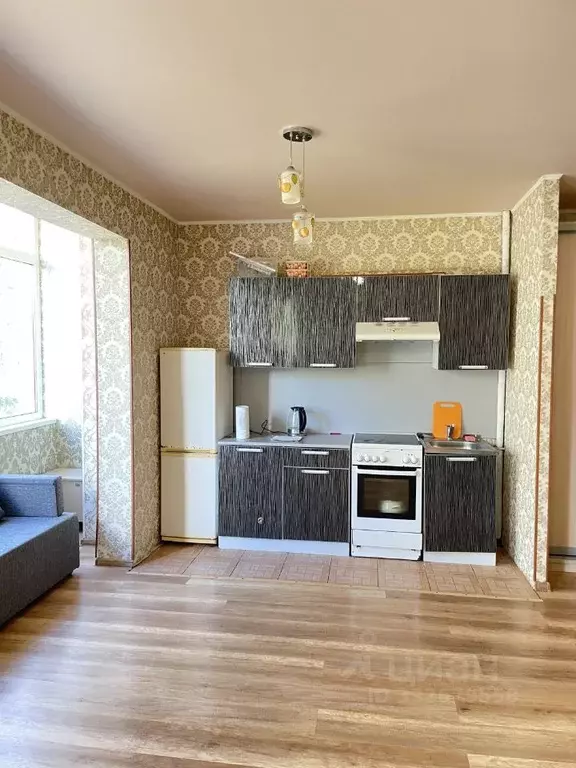 Студия Краснодарский край, Сочи Пластунская ул., 196/3 (30.0 м) - Фото 2