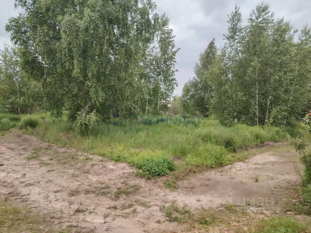 Участок в Нижегородская область, Нижний Новгород с. Большая Ельня,  ... - Фото 2
