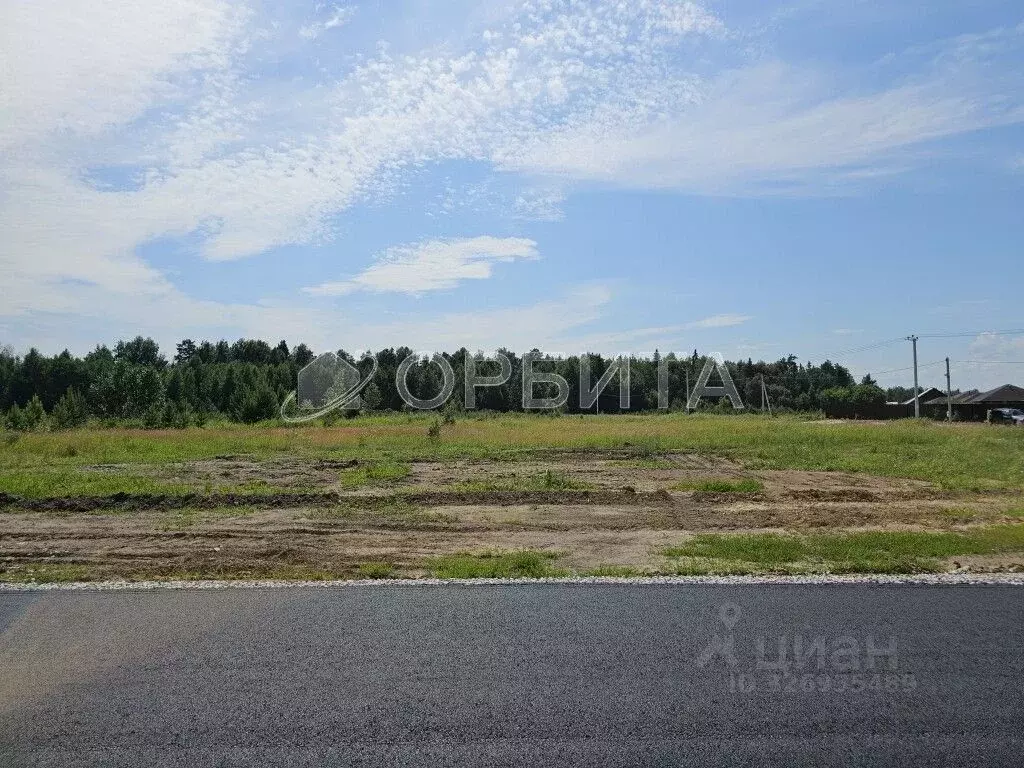 Участок в Тюменская область, Тюменский муниципальный округ, с. ... - Фото 2