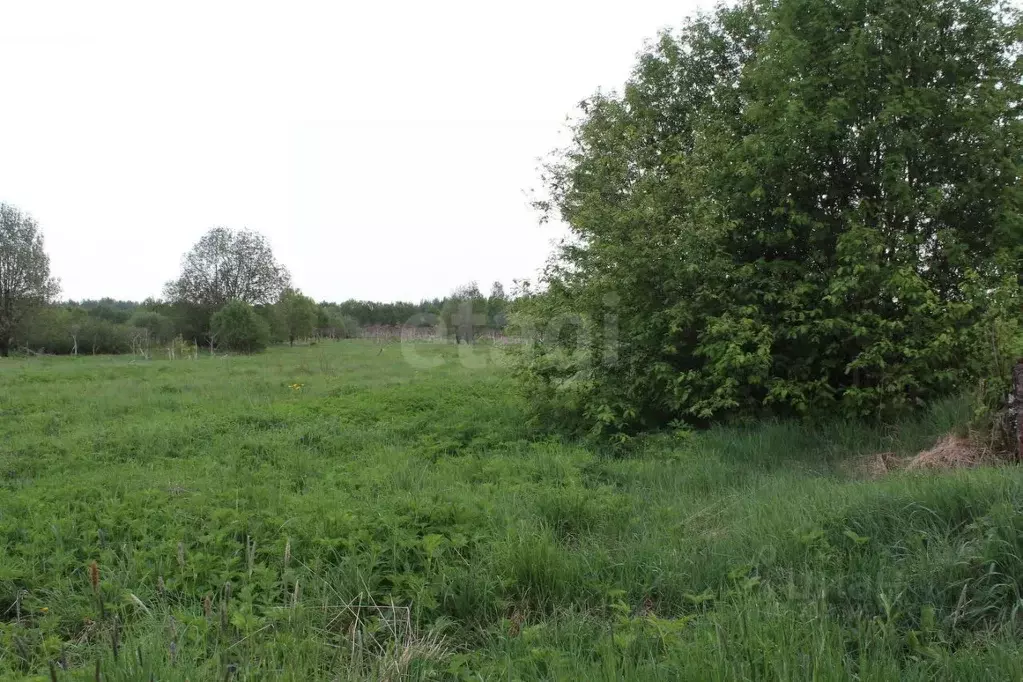 Участок в Вологодская область, Череповецкий район, Уломское с/пос  ... - Фото 1