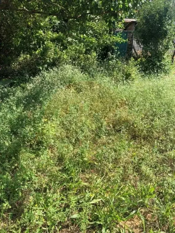 Участок в Крым, Сакский район, Новофедоровка пгт пер. Севастопольский ... - Фото 1