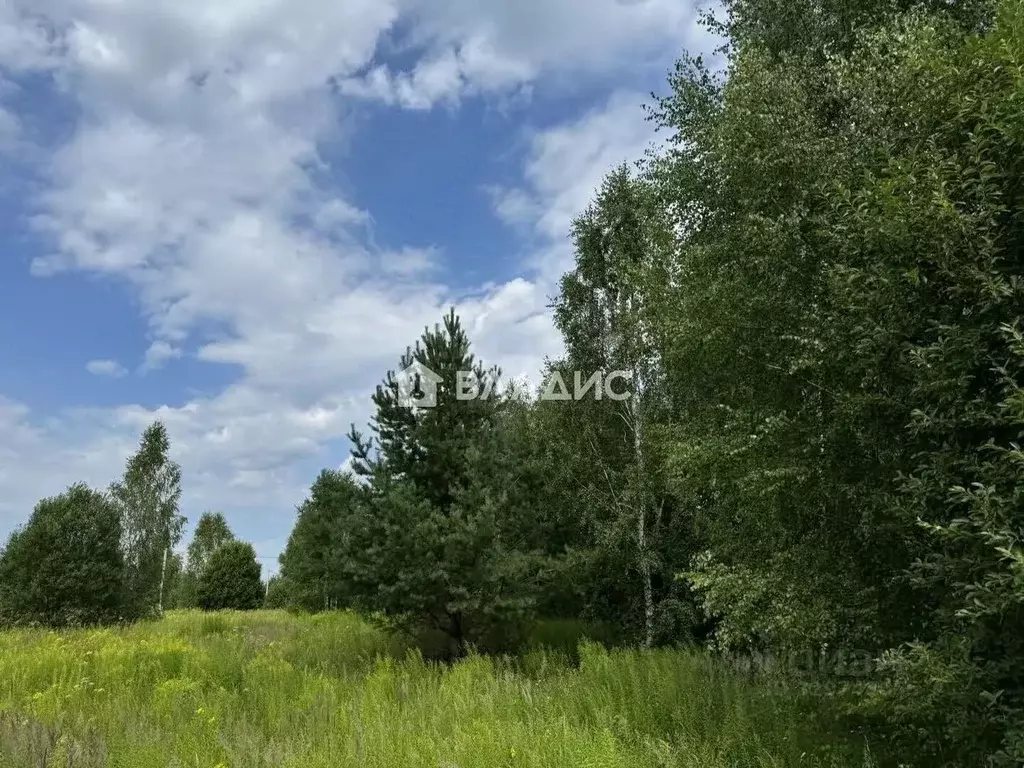 Участок в Нижегородская область, Богородский муниципальный округ, д. ... - Фото 2