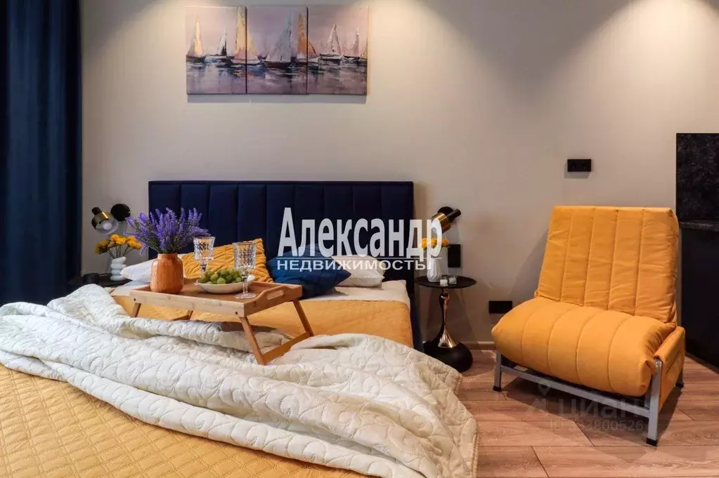Студия Санкт-Петербург просп. Энергетиков, 8к2 (24.7 м) - Фото 1