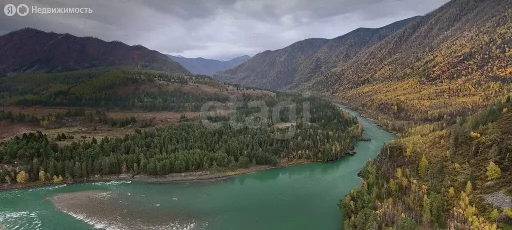 Участок в Республика Алтай, село Онгудай (200.2 м) - Фото 1