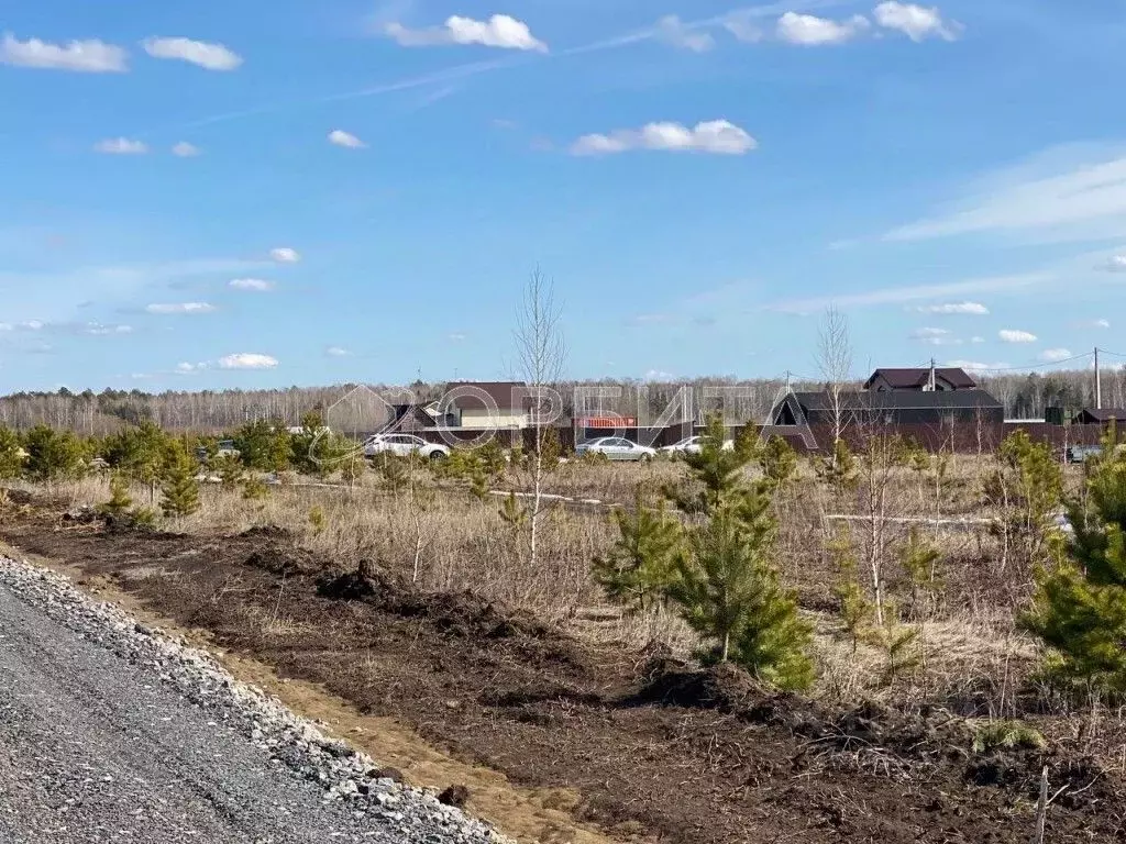 Участок в Тюменская область, Тюменский район, с. Кулига  (10.24 сот.) - Фото 1