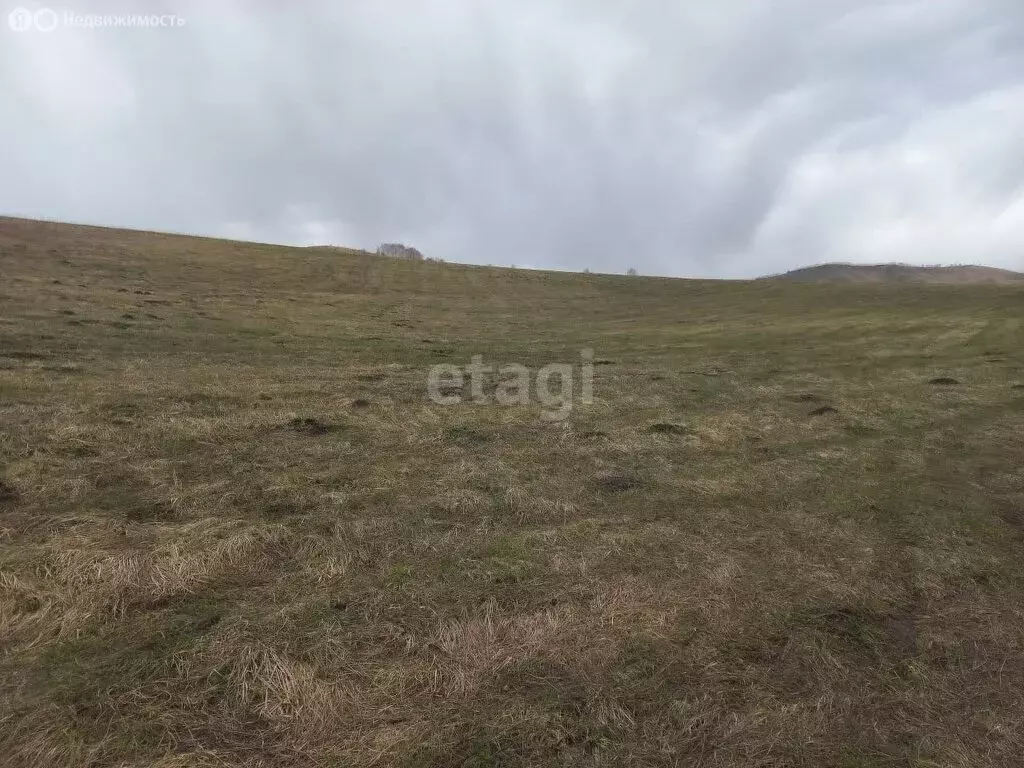 Участок в Алтайский район, село Ая (350 м) - Фото 1