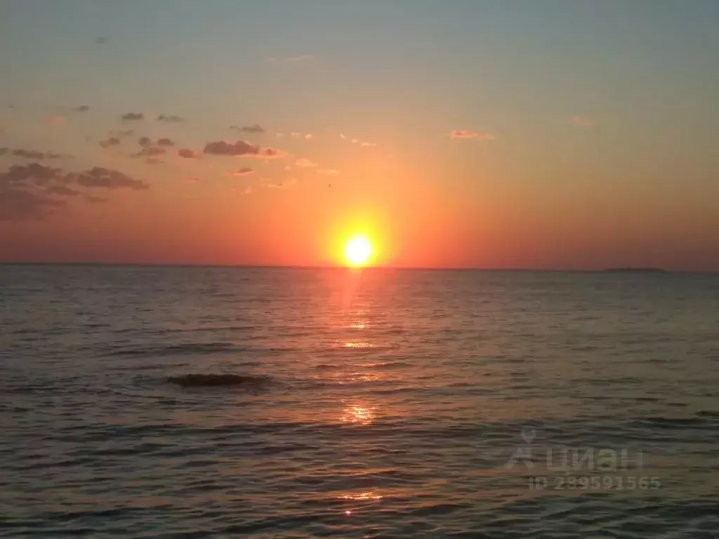 Дом в Калининградская область, Зеленоградский муниципальный округ, ... - Фото 1