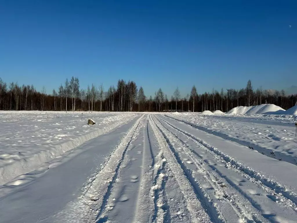 Участок в Ленинградская область, Всеволожский район, Бугровское ... - Фото 0