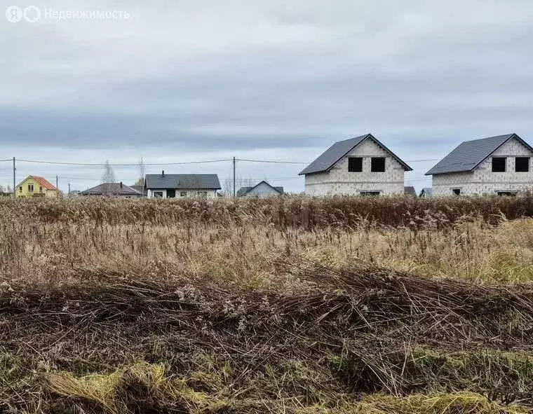 Участок в Калининградская область, Гурьевский муниципальный округ, ... - Фото 1