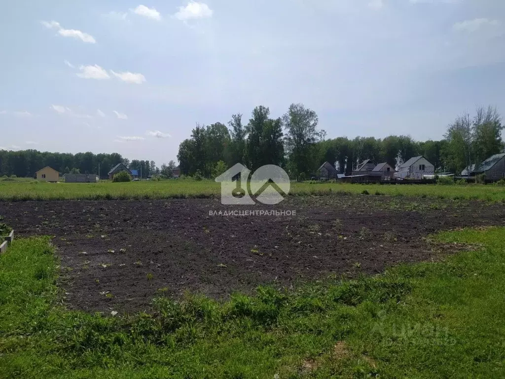 Участок в Новосибирская область, Мошково рп ул. Болдырева, 28 (9.17 ... - Фото 1