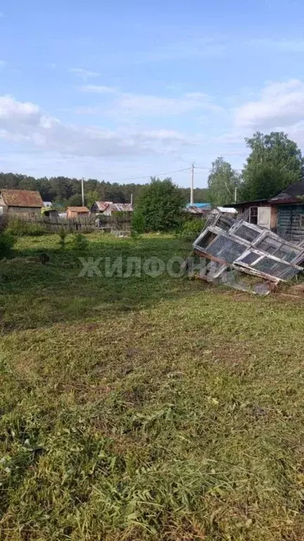 Участок в Новосибирская область, Новосибирский район, Станционный ... - Фото 0